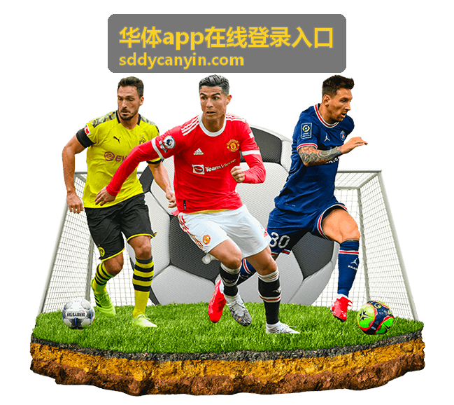 华体app在线登录入口电脑端登录与版本查看说明
