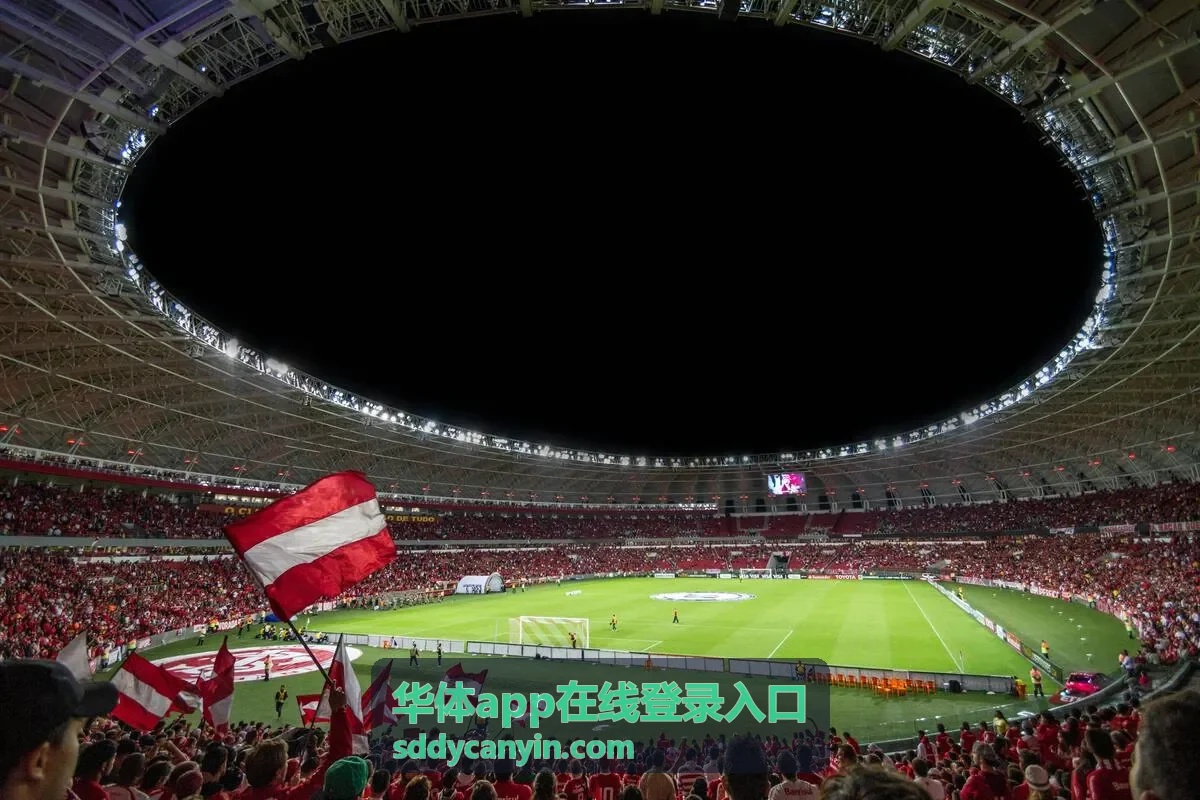 华体app在线登录入口电脑端登录界面示意