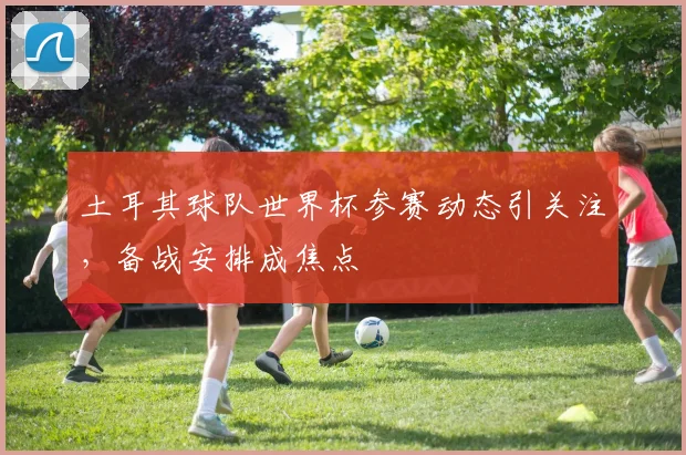 土耳其球队世界杯参赛动态引关注，备战安排成焦点