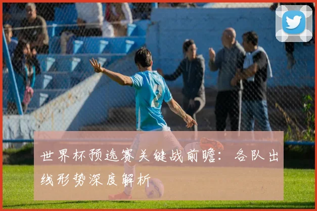 世界杯预选赛关键战前瞻:各队出线形势深度解析