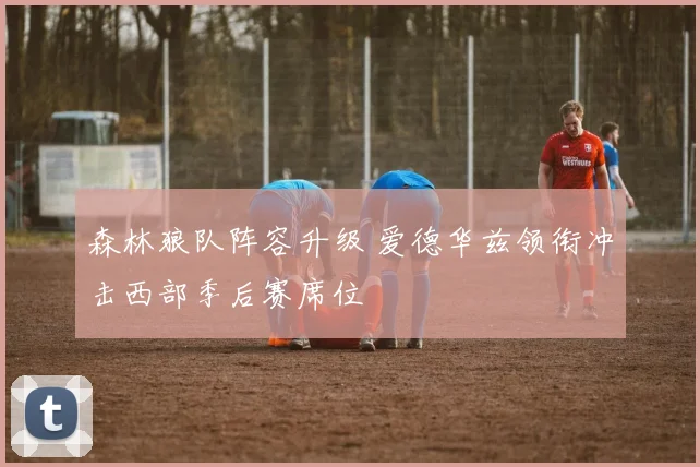 森林狼队阵容升级 爱德华兹领衔冲击西部季后赛席位