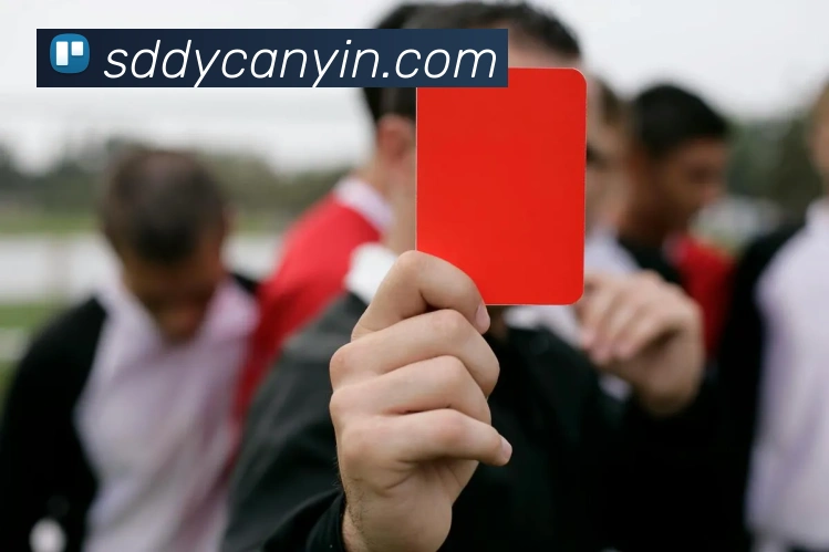 App Interface Preview